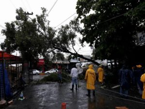 Personal del H. Ayuntamiento trabaja para retirar árboles caídos en la calle 2 de Agosto y del Mercado Central. Foto: H. Ayuntamiento de Acapulco.