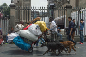 Un pepenador camina con sus perros frente a la Catedral Metropólitana. Pese a la disminución del desempleo, el trabajo informal continuó a la alza durante el primer trimestre del año, de acuerdo con el Instituto Nacional de Estadística y Geografía (Inegi). FOTO: SELENE PACHECO /CUARTOSCURO.COM