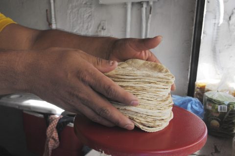 CHILPANCINGO, GUERRERO, 04ENERO2017.- Comerciantes manifiestan que de un momento a otro podrían aumentar el precio de la canasta básica como son jitomate, huevo y tortillas debido al incremento del Gasolina, el Gas lp tuvo una alza considerable. FOTO: JOSÉ I. HERNÁNDEZ /CUARTOSCURO.COM