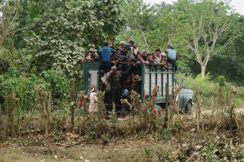 (Fotografía fechada el 29 de marzo de 2018 que muestra a jornaleros mientras trabajan en la zona cañera del municipio de Huixtla, en Chiapas. Bajo el sol, Marcos Morales se afana con el machete pocos minutos antes de la hora del almuerzo; como él, cientos de migrantes guatemaltecos trabajan en la zona cañera de Huixtla, bajo duras condiciones laborales)