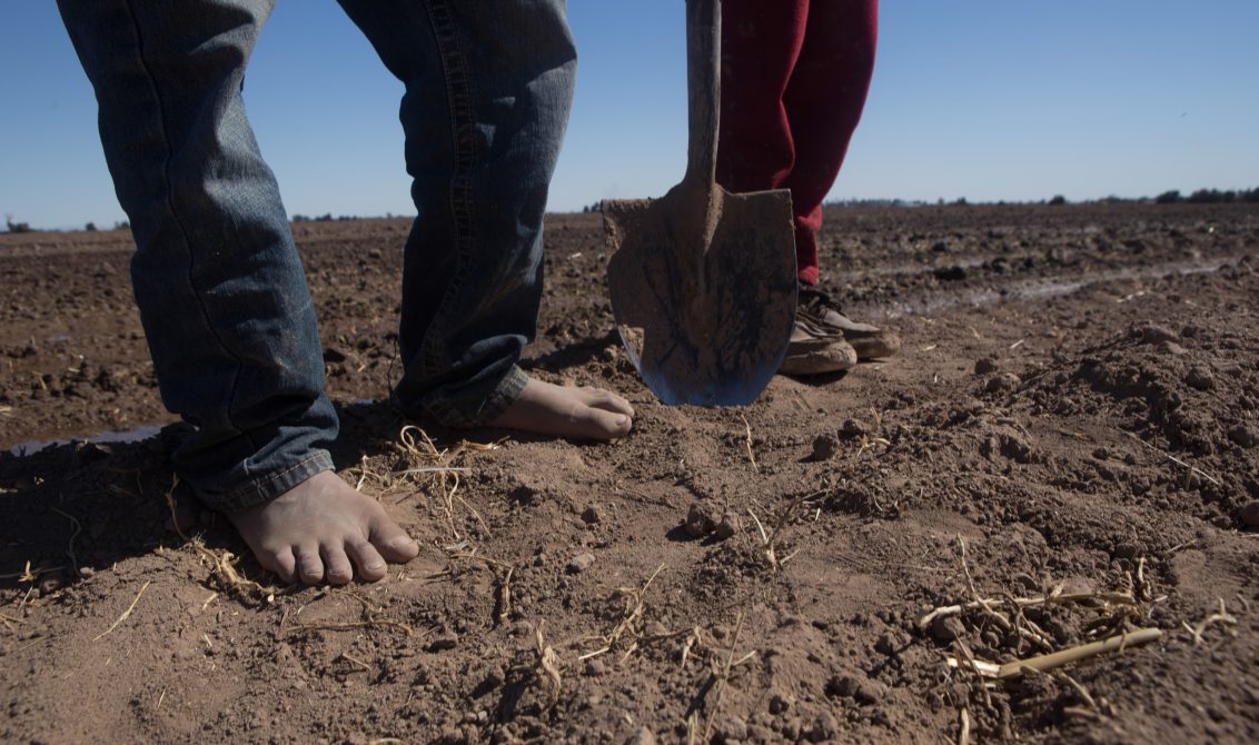 MEXICALI, BAJA CALIFORNIA, 09MARZO2018.-Ambientalistas y ejidatarios de la región miembros de colectivos como Mexicali Resiste, Baja California Resiste y el Comite en Defensa del Agua, han denunciado ante diversos foros nacionales e internaciones que la “construcción con licitaciones irregulares y Constellation Brands, empresa cervecera, en obra en esta ciudad, y que abastecerá al mercado estadounidense” solo traerá más escasez de agua en la región. Explican que la empresa transnacional consumirá 20 millones de metros cúbicos de agua al año para fabricar la cerveza del Grupo Modelo. Esta cantidad es el doble del agua que consume el municipio de Ensenada anualmente, nueve millones, y donde desde hace varios años se raciona el consumo en las colonias populares. Los agricultores de la zona argumentaron que año con año pierden hectáreas de cosechas debido a que ha habido una reducción en el agua que les proveen los distritos de riego, aunado al revestimiento de cemento del canal Todo Americano, ya que anterior a esto, las filtraciones de agua permitían el abastecimiento de barrancos naturales que regaban alrededor de 800 hectáreas. Asimismo, denunciaron que los módulos de riego son sitios donde la corrupción opera y tienen un mercado negro de agua, vendiéndole el agua al ejidatario con mayor capacidad económica, incluso mencionaron que se vende de manera ilegal más agua de la establecida a Tijuana debido a su crecimiento poblacional e industrial. Debido a esto, temen que con la llegada de la cervecera los más afectados sean ellos y sus cultivos. FOTO: TERCERO DÍAZ /CUARTOSCURO.COM