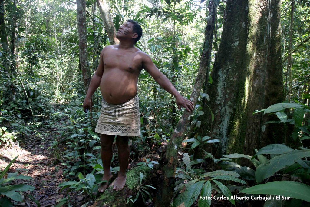 Walter el jefe Bora en la selva amazónica peruana, es un especialista en plantas medicinales. Foto: Carlos Alberto Carbajal