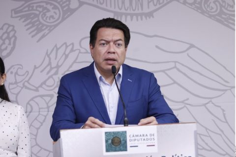 Ciudad de México, 13 de enero de 2020. El coordinador de Morena en la Cámara de Diputados, Mario Delgado aseguró que las críticas generadas por la puesta en marcha del Instituto de Salud para el Bienestar (Insabi) no corresponden a la realidad. Reforma