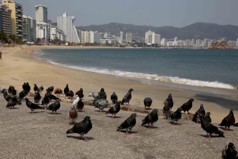 29 de Mayo del 2020 Acapulco, Guerrero. Vista de las playas Papagayo y La Gamba, vacías ayer viernes. Foto: Carlos Alberto Carbajal