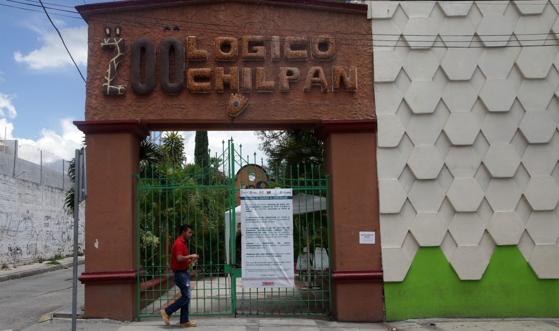 jnt-zoologico-cerrado-Zoochilpan.jpg: Chilpancingo, Guerrero 29 de julio del 2020// Cerrado nuevamente el zoologico, Zoochilpan, después de que tres trabajadores administrativos dieron positivo a Covid-19, y para atender la salud de un tigre blanco con problemas renales. Foto: Jessica Torres Barrera