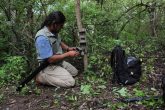 Chilpancingo gro, 17 de agosto 2020. // Integrantes del proyecto Guerrero Jaguar instalan cámaras trampa en un predio ubicado luego de que vecinos del Fraccionamiento Villas Paraíso reportaran el avistamiento de un supuesto puma. // Foto: Jesús Eduardo Guerrero