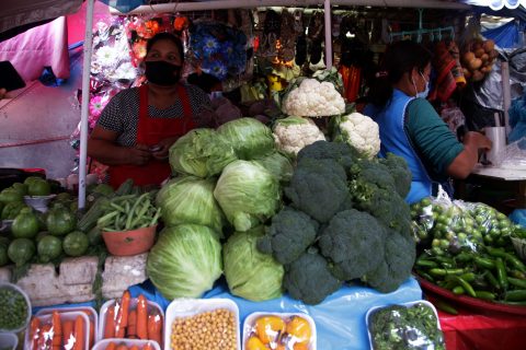 jnt-comerciante-Antonia-Ramirez-mercado.jpg: Chilpancingo, Guerrero 08 de noviembre del 2020// La comerciante Antonia Ramirez, oferta verduras en la calle 21 de Marzo, que colinda con el mercado central Baltazar R. Leyva Mancilla. Foto: Jessica Torres Barrera