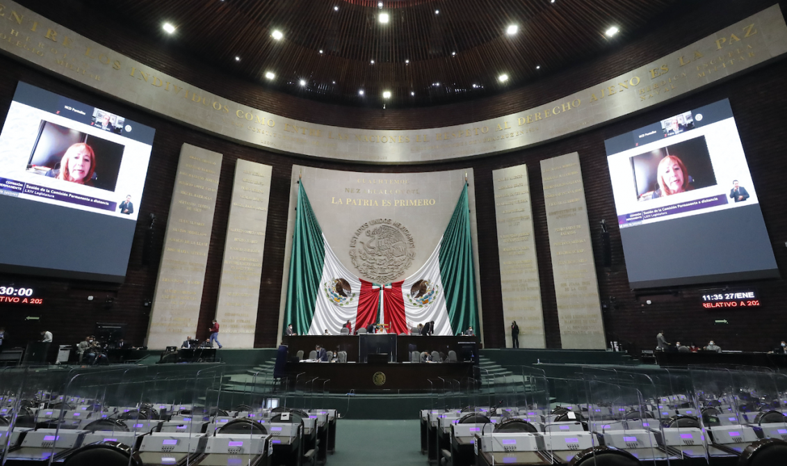 La titular de la CNDH, Rosario Piedra, en las pantallas de San Lázaro. Foto: Agencia Reforma