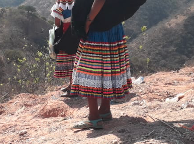 Indígenas nahuas de Chilapa suben al Cerro del Maíz a “rascar su fortuna”, que consiste en que si encuentran semillas o pelos de algún animal es la fortuna que tendrán. Foto: Carmen González